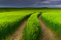 landscape photography
