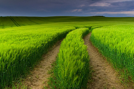 ueberblick-naturfotografie